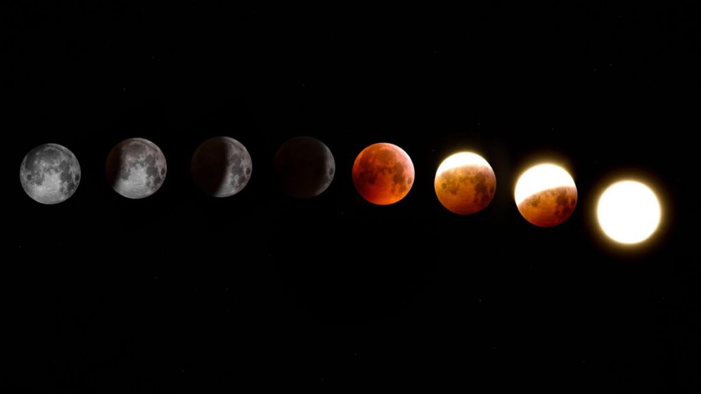 august astronomy canary islands 2026