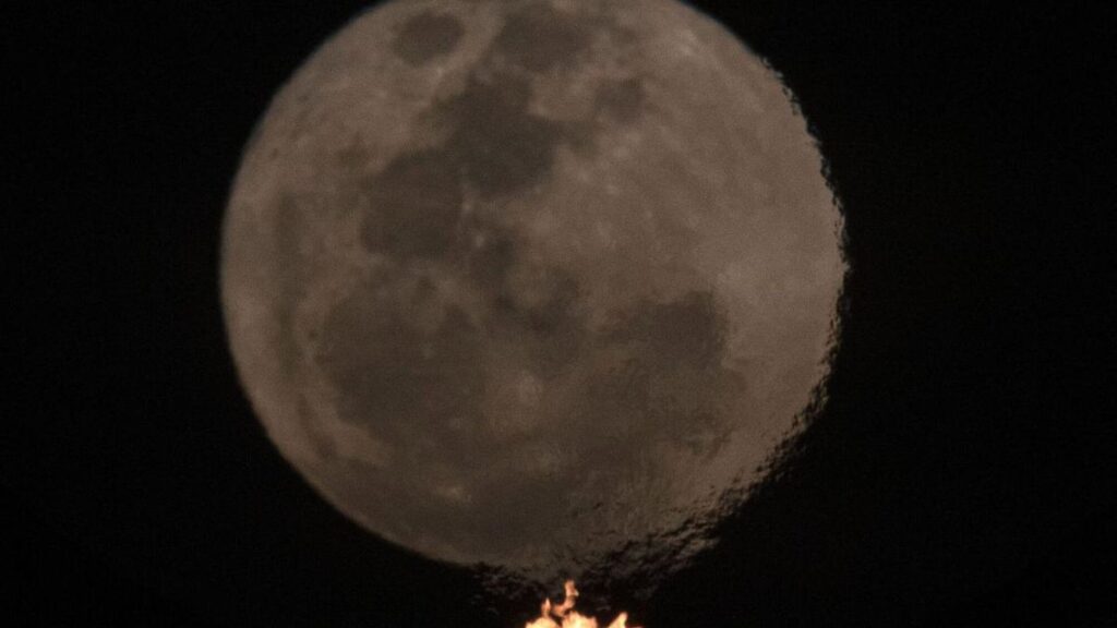 buck moon 2026 canary islands