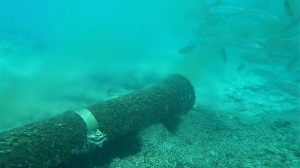 canary islands beach closures sewage crisis
