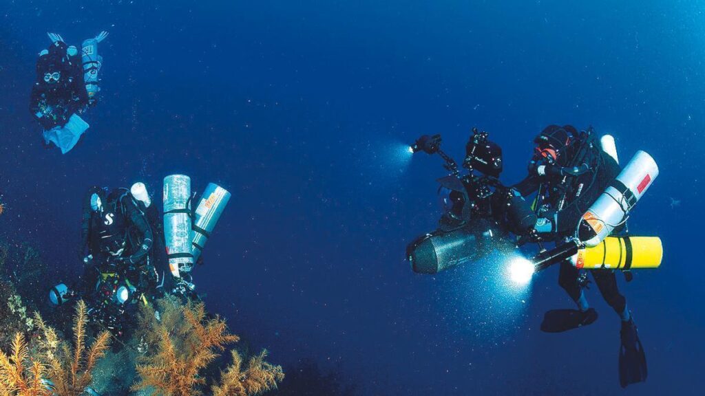 canary islands biodiversity law 2026
