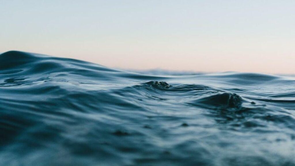 canary islands sea temperature indicator