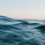 canary islands sea temperature indicator