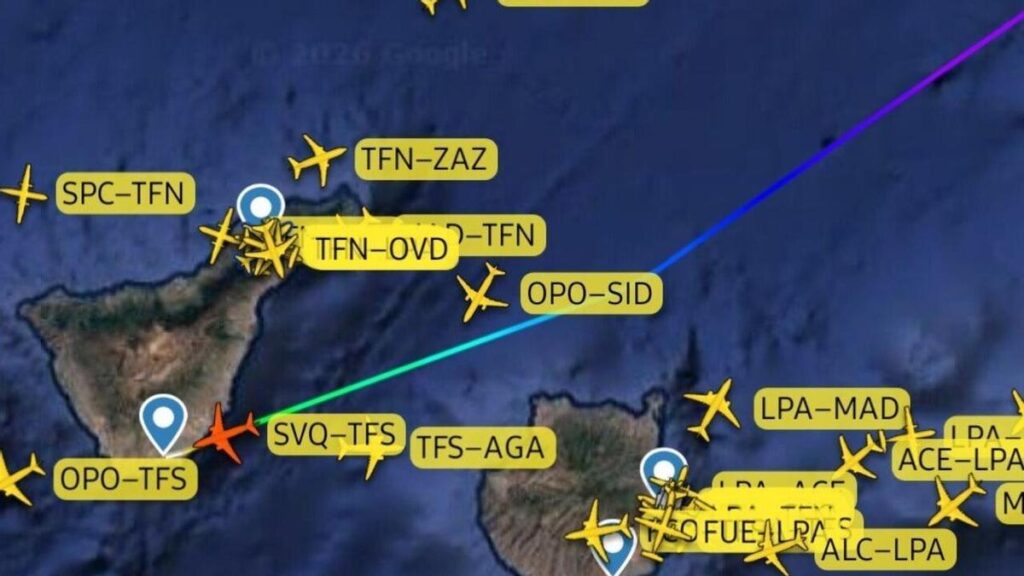 emergency landing tenerife sur passenger