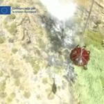 man arrested masca wildfire tenerife