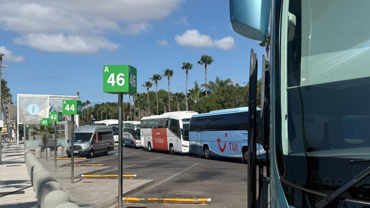 tenerife south airport bus access chaos