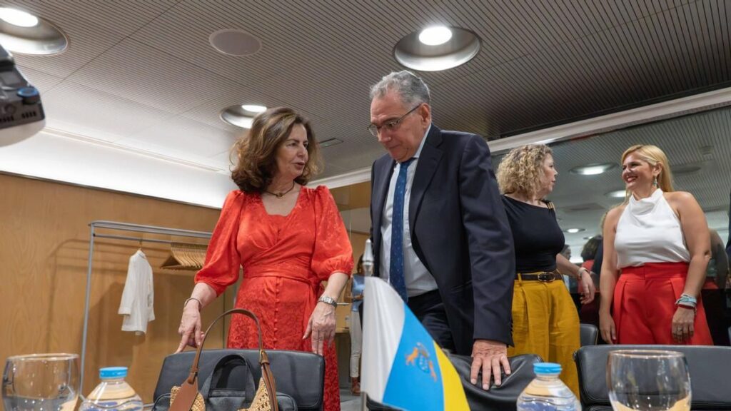 canary islands finance chief conflict interest