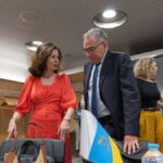 canary islands finance chief conflict interest