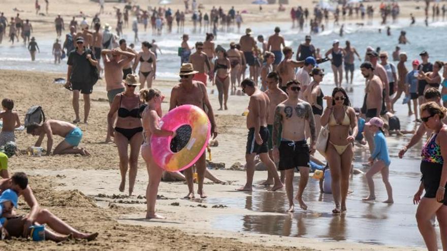 canary islands hotels july 2026 occupancy