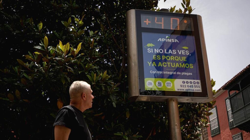 heatwave driving safety canary islands