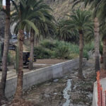 la gomera palm trees concrete outrage