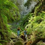 la palma german tourism growth