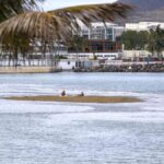 mareas del pino canaries september tides