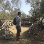 maspalomas dunes protected reserve study