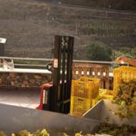 tenerife wine harvest 2026 optimism