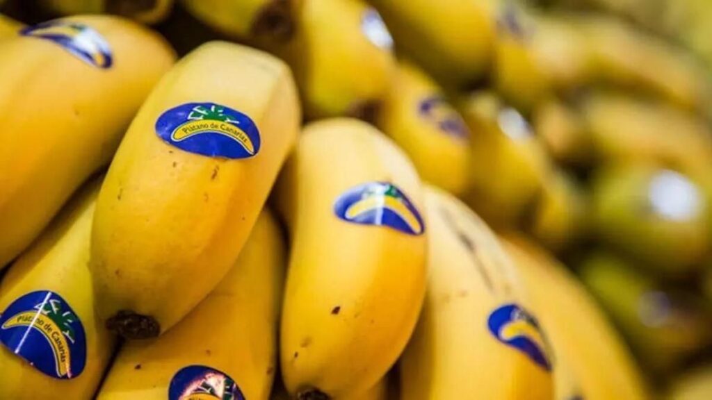 canary islands banana prices lowest 2026
