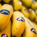 canary islands banana prices lowest 2026