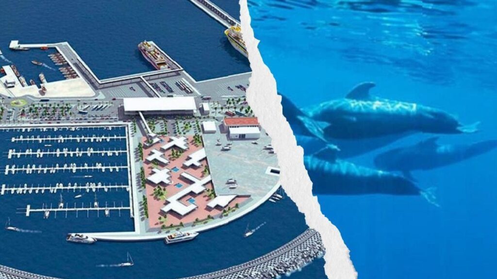 canary islands fonsalia port tenerife revived