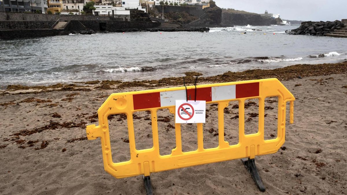 canary islands real time sewage map beaches