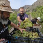 canary islands wine exports us tariffs