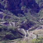 chira soria plant appeal dismissed gran canaria