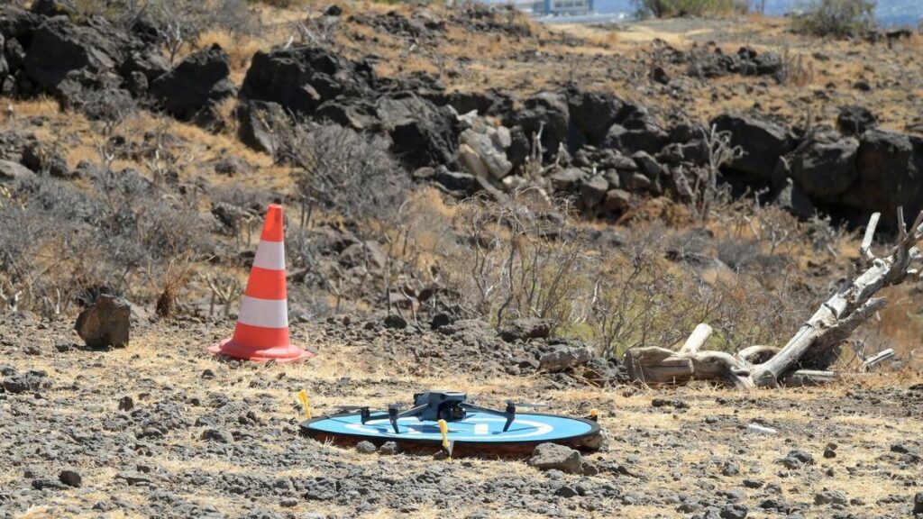 drone guide canary islands wildlife