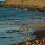 gran fiesta vinos tenerife el socorro 2026