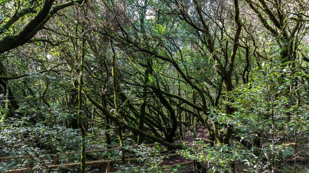 la gomera quietest islands ranking