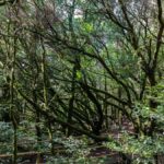 la gomera quietest islands ranking