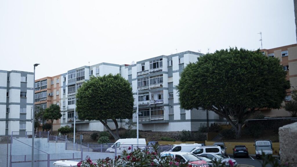 la laguna el cardonal rehabilitation contract awarded
