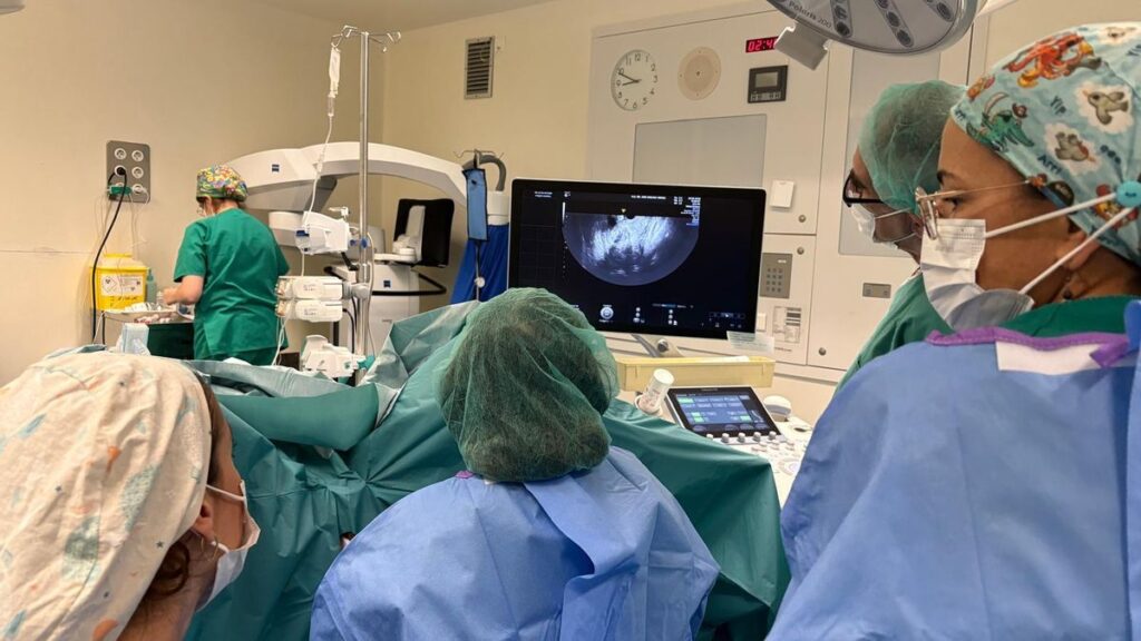 lanzarote microwave fibroid ablation first