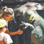 loro parque free entry punta brava residents