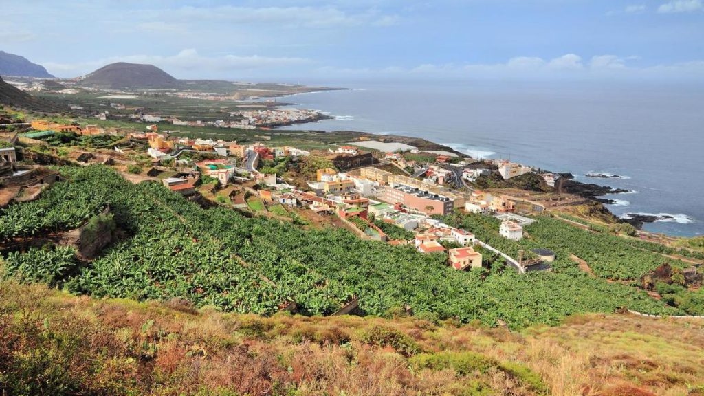 buena vista villa de mazo ferrero rocher