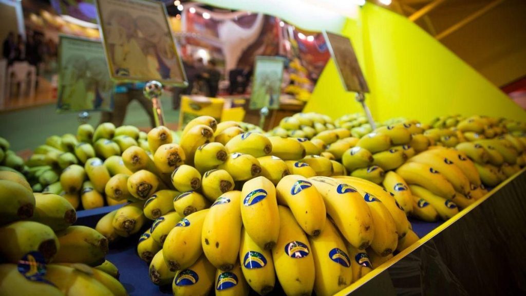 canary islands banana market share crisis