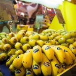 canary islands banana market share crisis