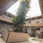 gran canaria institute museums approved
