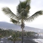 playa jardin puerto cruz reopens