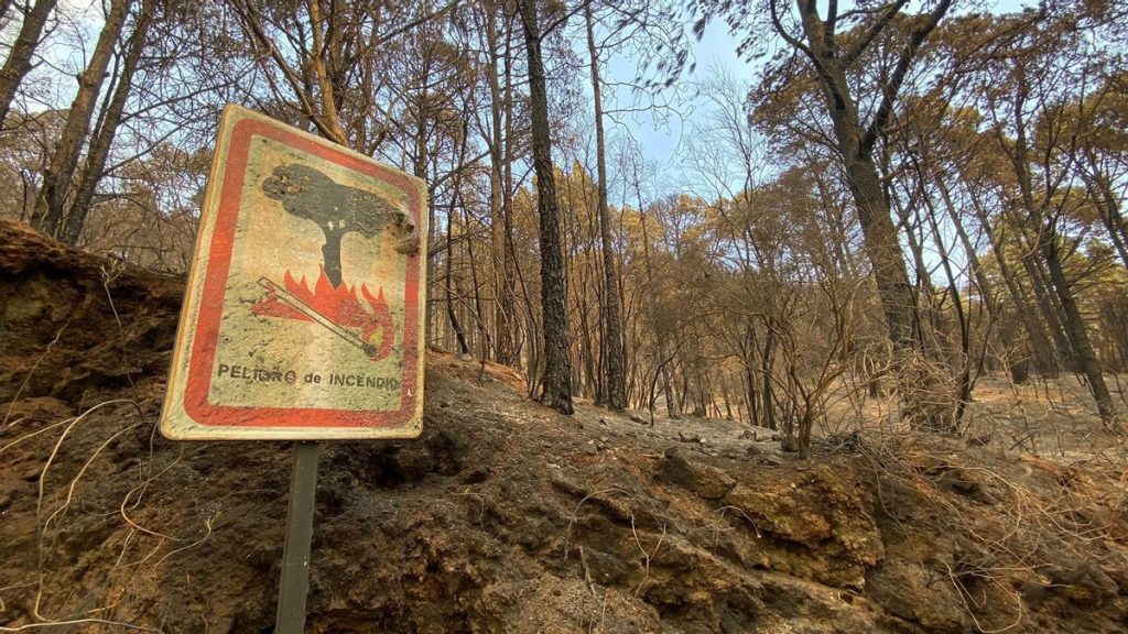 psoe tenerife fire prevention cuts gesplan