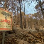 psoe tenerife fire prevention cuts gesplan