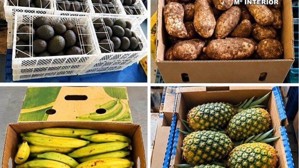 tenerife port illegal tropical fruit seized
